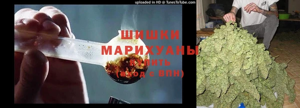 дурь Горняк