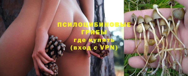 ALPHA-PVP Горнозаводск