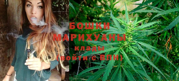 ALPHA-PVP Горнозаводск